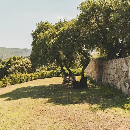 Bed and breakfast Maria Carmela Intense Living Olbia